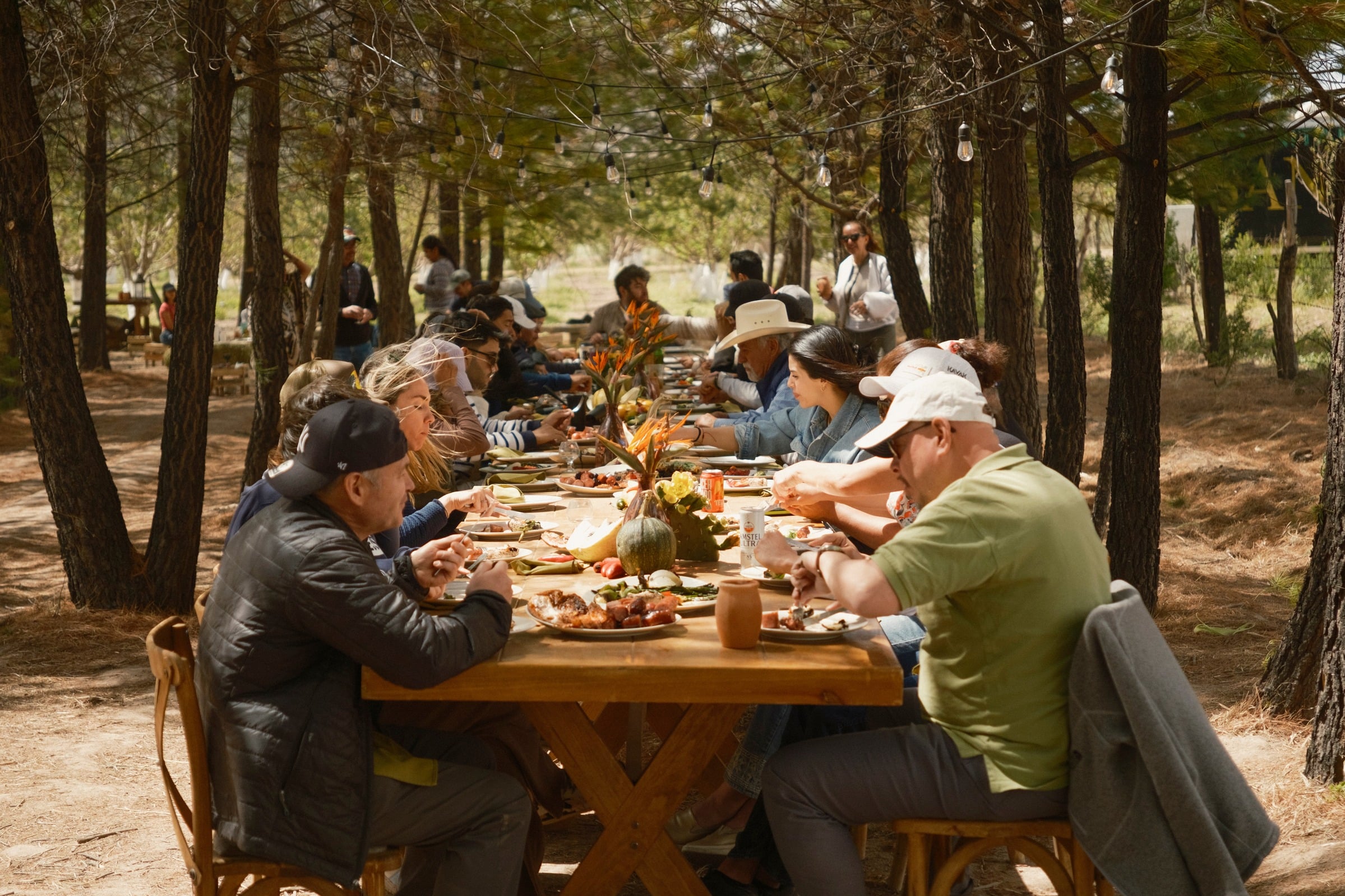 Mesa compartida en el bosque